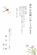 とんぼと夏草の水彩イラストデザインの暑中見舞い・残暑見舞い