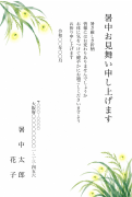 ほたると夏草の水彩イラストデザインの暑中見舞い・残暑見舞い