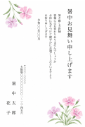 なでしこ(撫子)の水彩イラストデザインの暑中見舞い・残暑見舞い