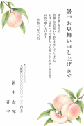 白桃のボタニカル水彩デザインの暑中見舞い・残暑見舞い