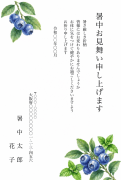 ブルーベリーとミントのボタニカルデザインの暑中見舞い・残暑見舞い