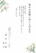 白い百合の水彩イラストデザインの暑中見舞い・残暑見舞い