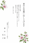 木槿(むくげ)の水彩イラストデザインの暑中見舞い・残暑見舞い