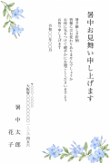 ルリマツリの水彩イラストデザインの暑中見舞い・残暑見舞い