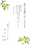 夏椿(沙羅の花)の水彩イラストデザインの暑中見舞い・残暑見舞い