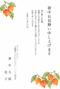 ほおずきの水彩イラストデザインの暑中見舞い・残暑見舞い